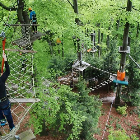 Fruhstuckshotel Scharinger 3*