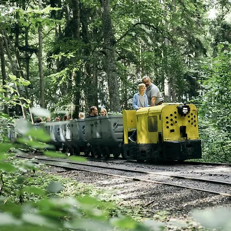 Pensionat Fruhstuckshotel Scharinger Haag am Hausruck